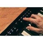 Casio Privia PX-S3100: Premium 88-Key Digital Piano