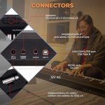 Roland GO-88P 88-Key Digital Piano Bundle with Accessories