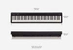 Roland FP-10: Entry Level Digital Piano with Bluetooth