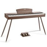 Donner DDP-80 88-Key Weighted Digital Piano - A Perfect Blend