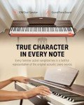 Donner DDP-80 88-Key Weighted Digital Piano - A Perfect Blend