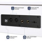 ZHRUNS ZH-309 88-Key Digital Piano - Perfect for Beginners
