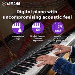 Yamaha P225B 88-Key Weighted Digital Piano With Sustain Pedal