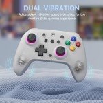 ECHTPower Switch Controller, Switch pro Controller for Nintendo Switch/Lite/OLED Controller, Wireless Gaming Controller with Hall Effect Joysticks, One Key Wake-up, Programmable, 6 Axis Gyro, Turbo