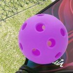 QUEMUIA Indoor Pickleball Balls,26 Holes Indoor Pickleballs USAPA Approved,4-Pack High Bounce Pickle Balls, Pickleball Gifts for Men or Women Pickleball Enthusiasts