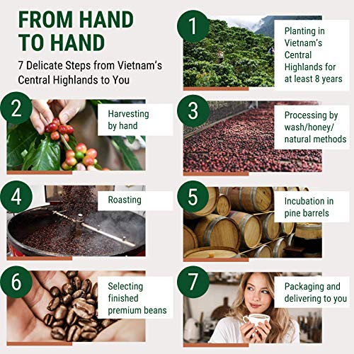 Dark Roast Vietnamese Robusta Espresso Coffee Beans