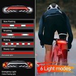 NineLeaf Bike Taillight with Turn Signals, Anti-Theft Bicycle Alarm Tail Light with Electric Bell and Automatic Brake Light, Remote Control Rear Light USB Rechargeable Safety Warning Cycling Light