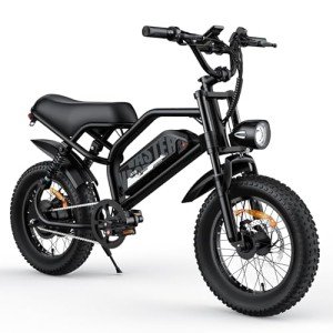 VDL Mountain Electric Bike with 800W Motor
