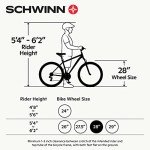 Schwinn Discover Adult Hybrid Bike for Men and Women, 700c Wheels, 21-Speeds, 17-Inch Aluminum Step-Through Frame, Front and Rear Fenders, Rear Cargo Rack, White