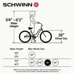 Schwinn Wayfarer Adult Hybrid Bike, Mens and Womens, 16-Inch/Small Steel Step-Through Frame, 7-Speed Drivetrain, Rear Rack, 700C Wheels, Light Mint
