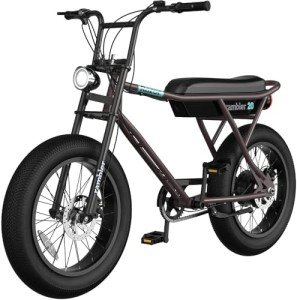 Razor Rambler 20 – Class 2 Adult Electric Bike with Retro Style, Up to 19.9 MPH, Up to 16.6 Miles of Range, 500-Watt Rear-Wheel Hub-Driven Motor