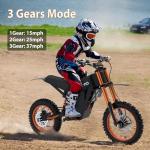 Tuttio Soleil01 Electric Dirt Bike for Teens Adults with Black Suspension Fork, Soleil01 BF Electric Bike with 48V 21AH Removable Battery, 14"/12" Fat Tire for Off Road Mountain, UL Certificate