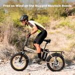 1000W Folding Electric Bike, 48V 20AH Large Removable Battery E Bike, 30+MPH, 80 Miles Max Range, 20" Fat Tire Electric Bicycle for Adults, Adult Electric Bicycles for Commute Beach Snow,Sandstorm