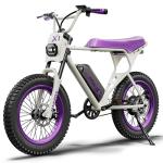 Thumb Throttle Electric Bike for Adults - Peak Power 750W, 25MPH High-Speed Commuter Ebike, 38 Mile Range, 20" All-Terrain Fat Tires with Front Suspension, Off-Road/Campus E-Bicycle (X1S/Class 3)