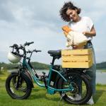 URLIFE 20"*3.0 Fat Tire Electric Bike for Adults, 1000W Peak Motor, 28MPH, 48V Removable Battery, 80-Mile, 7-Speed & Suspension, Adjustable Seat for Adults and Teens (Black)