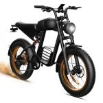 ZOILSHUNDRY Electric Bike for Adults with Peak 1600W Peak Motor,Max Speed 35MPH,Up to 60Miles,Moped ebikes with 20.8AH Battery,20" Fat Tire Adult Electric Bicycle