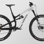 Canyon Spectral 6, Raw'kn'Roll, Medium