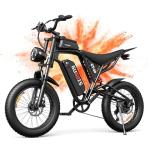 Rakowe Electric Bike for Adults, 20''*4.0'' Fat Tire 1000W Peak Ebike, Up to 45 Miles 30MPH Mountain Ebike with 48V15.6Ah Removable Battery, Dual Disc Brakes Dirt E-Bike Center Shock Absorber 7-Speed