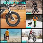 Ridstar Q20 Electric Bike for All Terrains