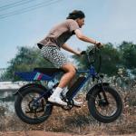 Jasion RetroVolt 1200W Fat Tire Electric Bike