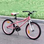 HH HILAND 20 Inch Kids' Bicycles Mountain Bike for Boys, Girls 5+ Years Old, Single Speed Kids Bicycles with Dual Handbrakes, Child Bike Pink