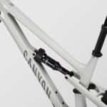 Canyon Spectral 125 CF 7, Funkturm Grey, Medium