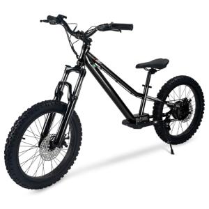 RIOUIO Kids Electric Bike, 350W Motor, 18.6 MPH, 15.5 Miles, 20" Tires, Dual Braking System, Suitable for Riders Aged 9 and Above, Youth Off-Road Electric Bicycle