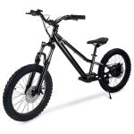 RIOUIO Kids Electric Bike, 350W Motor, 18.6 MPH, 15.5 Miles, 20" Tires, Dual Braking System, Suitable for Riders Aged 9 and Above, Youth Off-Road Electric Bicycle
