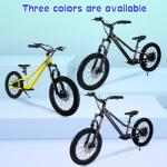 RIOUIO Kids Electric Bike, 350W Motor, 18.6 MPH, 15.5 Miles, 20" Tires, Dual Braking System, Suitable for Riders Aged 9 and Above, Youth Off-Road Electric Bicycle