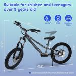 RIOUIO Kids Electric Bike, 350W Motor, 18.6 MPH, 15.5 Miles, 20" Tires, Dual Braking System, Suitable for Riders Aged 9 and Above, Youth Off-Road Electric Bicycle