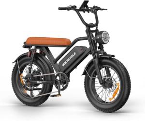 Leeyalan Electric Bicycle for Adults 750W Motor 28 MPH 50 Miles Removable 48V Battery ，20"x4.0"Fat Tire Dual Disc Brakes, ebike Suitable for City Commuting