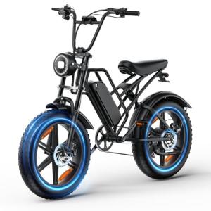 RPINT E500 Electric Bike for Adults with 1000W Peak Motor, 20" Fat Tire Dirt E Bike for All-Terrain, 28MPH and 40 Miles PAS Range, 7 Speed Electric Mountain Bicycles with 48V Removable Battery