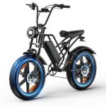 RPINT E500 Electric Bike for Adults with 1000W Peak Motor, 20" Fat Tire Dirt E Bike for All-Terrain, 28MPH and 40 Miles PAS Range, 7 Speed Electric Mountain Bicycles with 48V Removable Battery