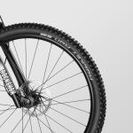 Canyon Exceed CF 5, Real Raw, Small