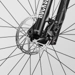 Canyon Exceed CF 5, Real Raw, Small