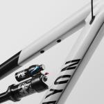 Canyon Spectral 6, Raw'kn'Roll, Extra Large