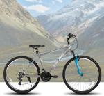 HH HILAND Adult 26 Inch Mountain Bike, Mens and Womens Bicycle with 21 Speed, High-Carbon Steel Frame Mountain Bicycle,MTB for Men Gray