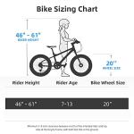 JOYSTAR 20 Inch Moutain Bike for Kids Ages 7-12 Year Old Boys Girls Shimano 7-Speed and Dual Disc Brake 20 Inch Fat Tire Boy Bike Kids' Bicycle Black