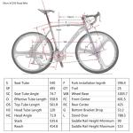 EUROBIKE Road Bike,21 Speed Bicycle with Disc Brake,700C Wheels Road Bikes for Men or Women,49cm/54cm Frame for Adult Cycling Bicycle… (Aluminium Rims 2, 54cm)