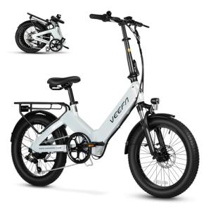 VEEFA F1 Folding Electric Bike with 750W Motor