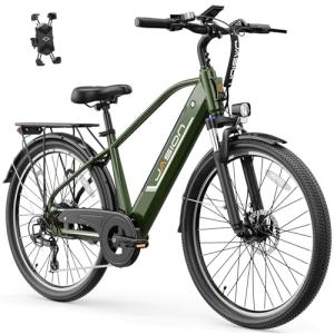 Jasion Roamer 1200W Electric Bike for Adults
