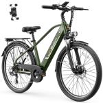 Jasion Roamer 1200W Electric Bike for Adults