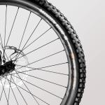 Canyon Spectral 125 AL 5, Real Raw, Large