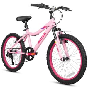 WEIZE 20 Inch Kid Mountain Bike,Kid Bike for Girls Age 6-14 Year Old,6 Speed Kid Bicycle with Front Suspension Fork,Adjustable Seat Height,High-Carbon Steel Frame,Ideal for Girl Adventurers,Pink