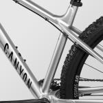 Canyon Stoic 4, Silver, Small