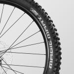 Canyon Stoic 4, Silver, Small