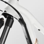 Canyon Spectral Young Hero, Shockwave, Double Extra Small