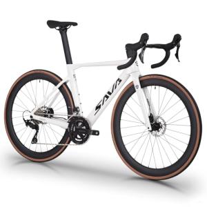 SAVADECK Carbon Fiber Road Bike, Hydraulic Oil Disc Bike with Carbon Fiber Frame and Wheelset, Lightweight Full Carbon Racing Bicycle with Shimano R7120 24S Shift Set for Adults(White,51cm)