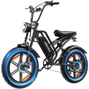 RPINT E500 Electric Bike for Adults with 1000W Peak Motor, 20" Fat Tire Dirt E Bike for All-Terrain, 28MPH and 40 Miles PAS Range, 7 Speed Electric Mountain Bicycles with 48V Removable Battery