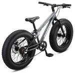 Mongoose Argus ST Fat Tire Mountain Bike for Kids Boys Girls, 20-Inch Wheels, Mechanical Disc Brakes, 10.5-Inch Steel Hardtail Frame, 7-Speed, Grey